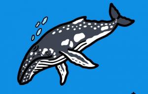 ザトウクジラ - 【イベント】可能性アートプロジェクト 2026