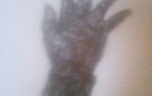 傷だらけの戦火兵士、彼らは生きてるんだ - 真鍋哲地 