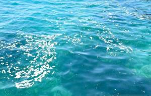 海水 - 春野しばいぬ 