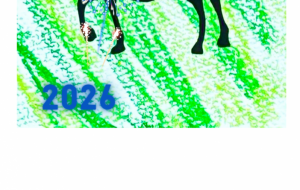 無事息災と新年の祝いの花火 - ネットスクウェアNET年賀状 ✕ 障がい者アート協会【2026年午年年賀状】 NS2026 