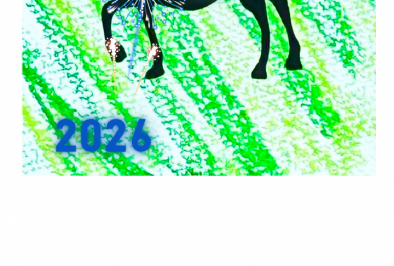 無事息災と新年の祝いの花火