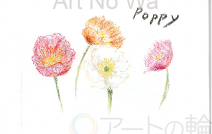 ポピー - 雪柳 
