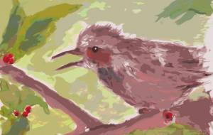 ヒヨドリ - ナノ