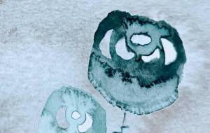 ２輪の青みがかった薔薇 - ぴぴ 