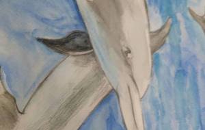 イルカのむれ - 【イベント】可能性アートプロジェクト 2026 