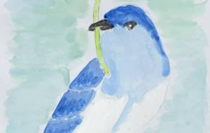 幸せの青い鳥 - Miyumomo 