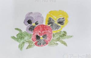 パンジー - Miyumomo 