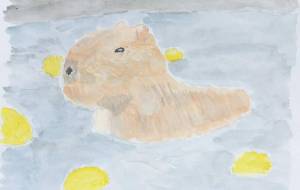 カピバラさんの露天風呂 - Miyumomo 