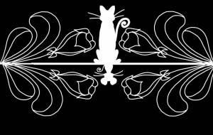 シンメトリー - Kz 