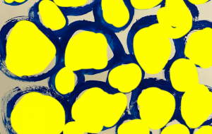 水玉模様 - 笹谷正博