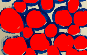 水玉模様 - 笹谷正博