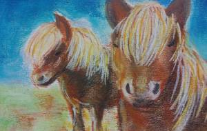 2026年 午年 - Arica