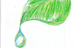 葉から雫 - 雪柳