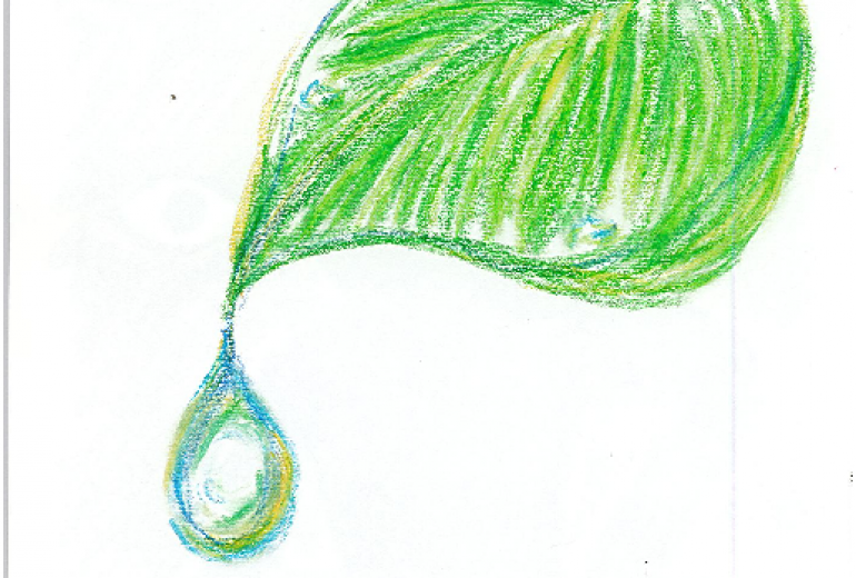 葉から雫
