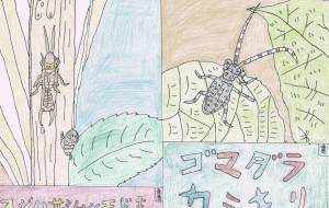 スジハサミムシモドキとゴマダラカミキリ - 【イベント】可能性アートプロジェクト 2026