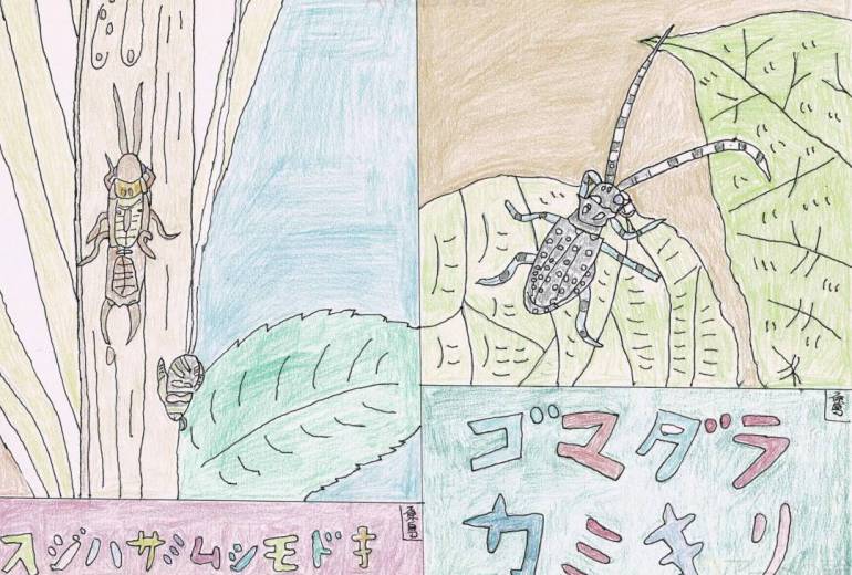 スジハサミムシモドキとゴマダラカミキリ