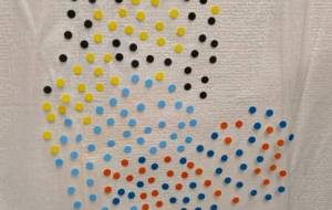 とり - りょうま