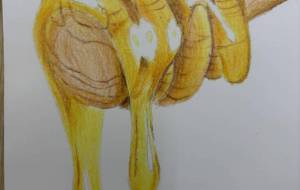 はちみつ - 恵麻