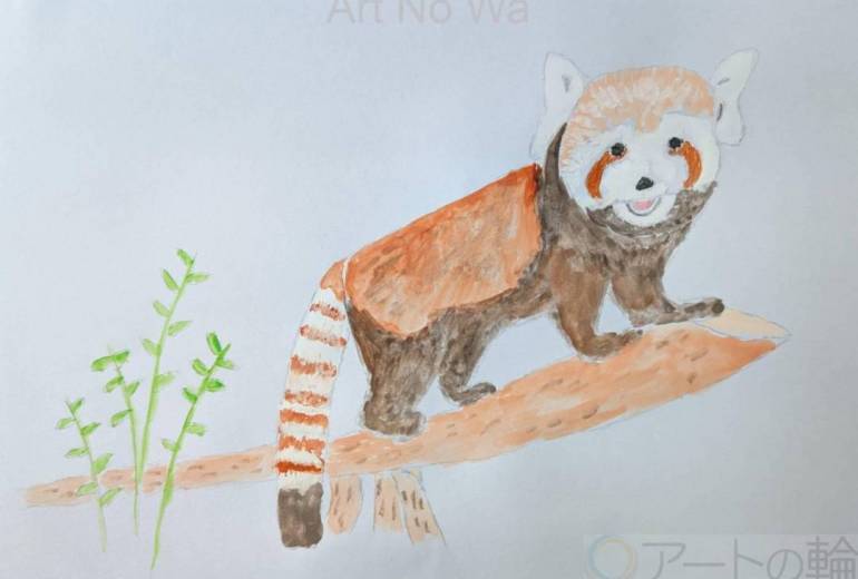 レッサーパンダ