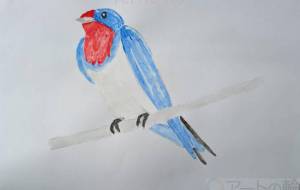 ツバメ - Miyumomo 