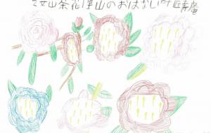 乙女山茶花のおはなし - Ai 