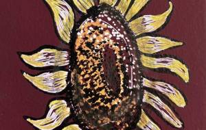 ひまわり2 - ミズノイヨ 