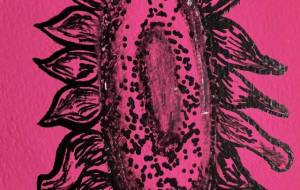 ひまわり6 - ミズノイヨ 