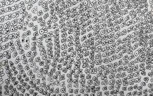 魚群サラ - 【イベント】可能性アートプロジェクト 2026 