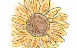 スケッチ - まかろんちゃん