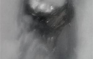 赤ちゃん家族が、泣いた - 真鍋哲地