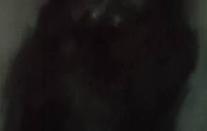 ただ、老人、、、 - 真鍋哲地