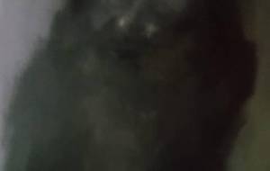 空が広がる、いつも - 真鍋哲地 