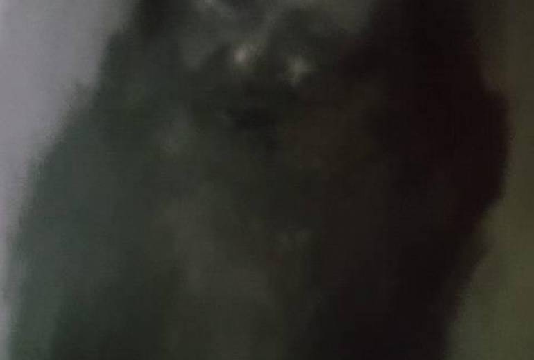 空が広がる、いつも