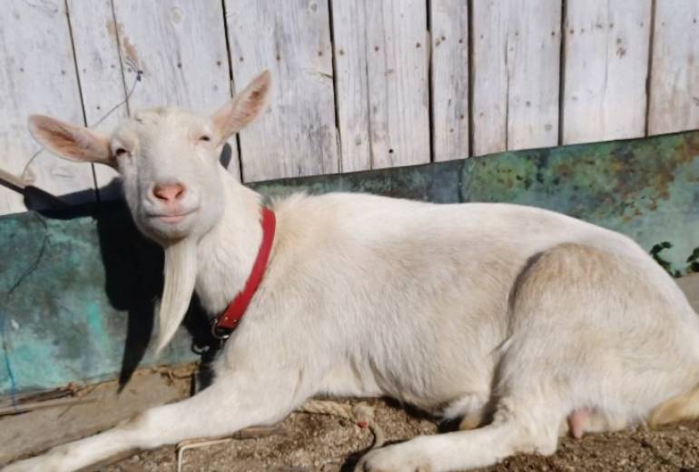 就労支援事業所つむぎ