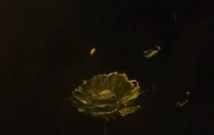 遠くの景色、座って観てる - 真鍋哲地 