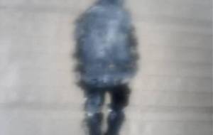 母さん、母さん、忘れないよ、母さんの勇姿 - 真鍋哲地 