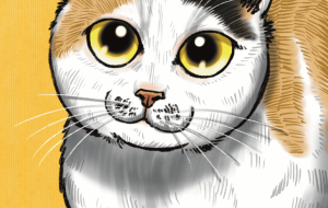 月美ちゃん - Yukari 