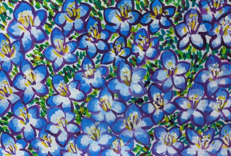 ネモフィラとローズマリー