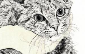 シーバ君 - 山田貴裕 