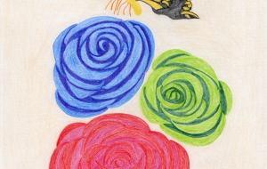 チョウとバラ - zibun 