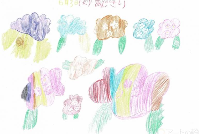 6月3日（火）　あじさい