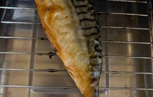 サバの文化干し - 笹谷正博 