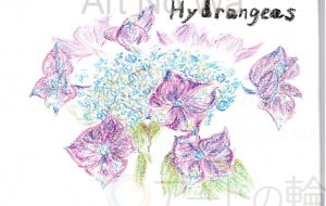 ガクアジサイ - 雪柳 