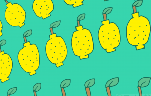 檸檬 - ましゅまろまかろん 