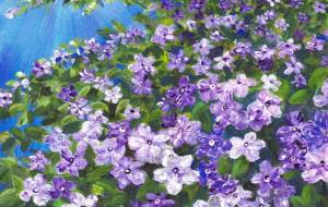 香りに包まれて - 【イベント】可能性アートプロジェクト 2026 