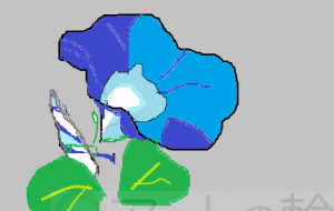 朝顔 - 中村　恭子 