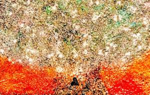 さくら - 久保田　俊 