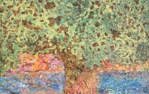 かしわのき、アナログ版 - 久保田　俊 