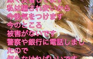 詐欺 - 笹谷正博 