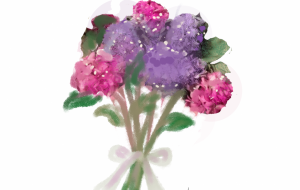 和気あいあい - かずもがな